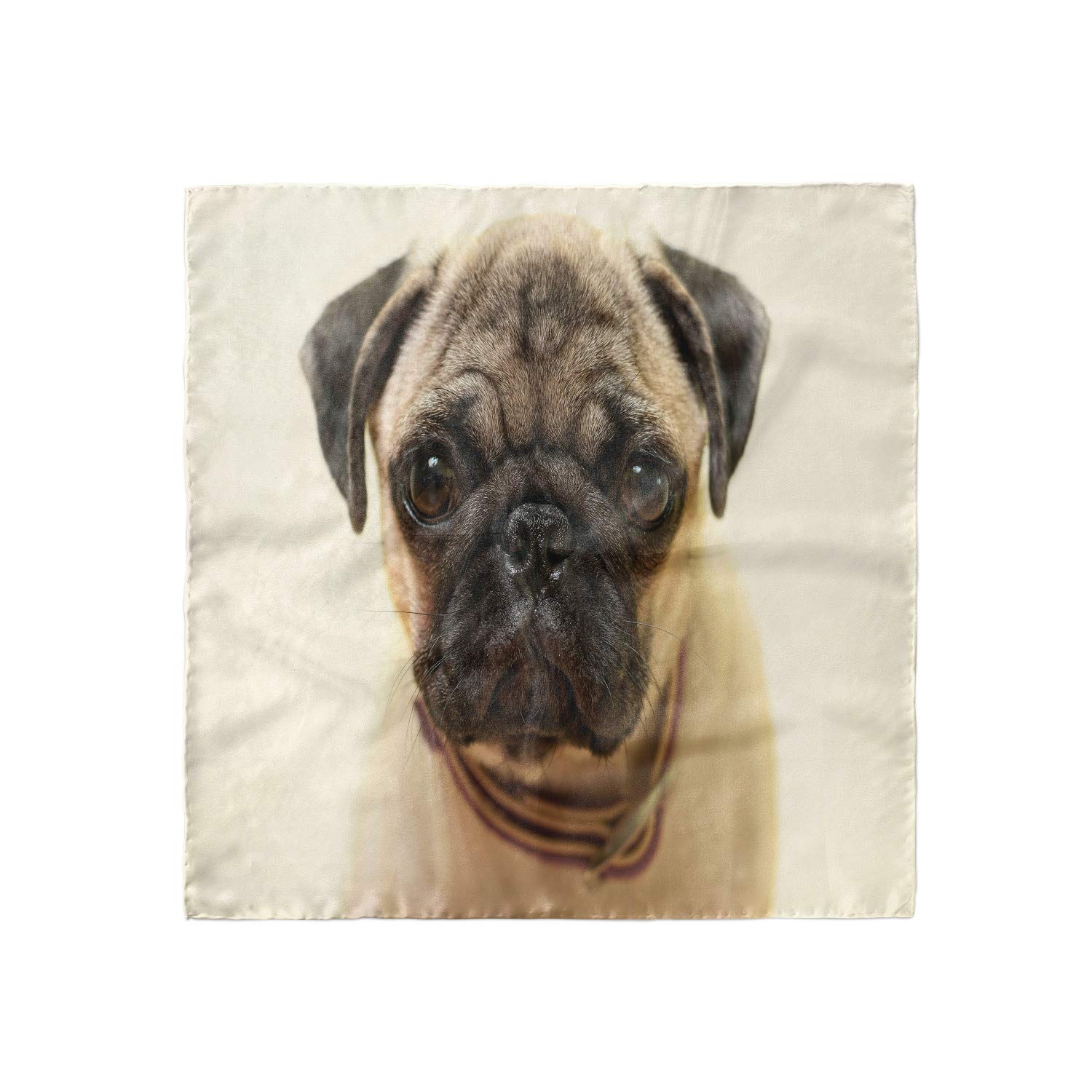 Ambesonne Pug Head Scarf - Pure Bred Dog Photograph Print Hair Wrap for Women - Perfect for Beach, Yoga, and Casual Outfits