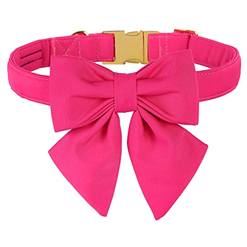 Bow-Rose red