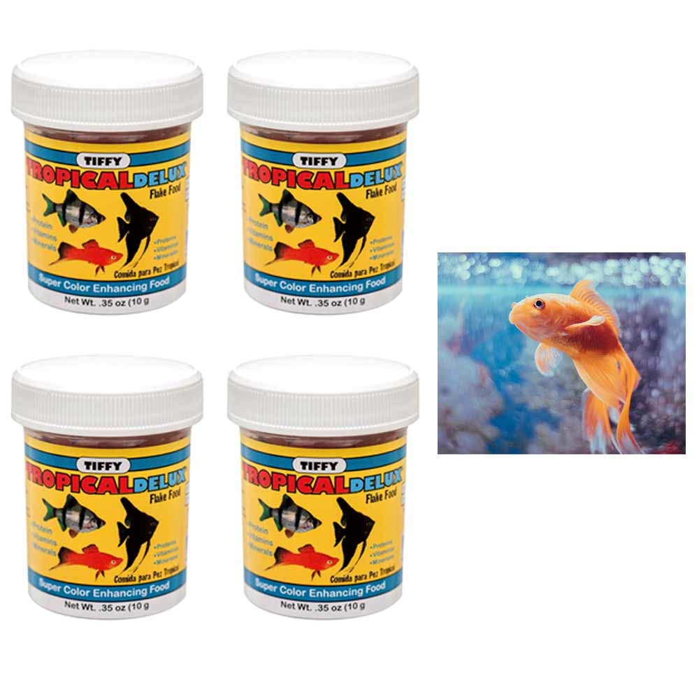 Premium Tropical Fish Flakes Food - High Protein, Vitamins & Minerals for Aquarium Fish - Enhances Color & Growth - Ideal for Freshwater & Saltwater Fish Tanks