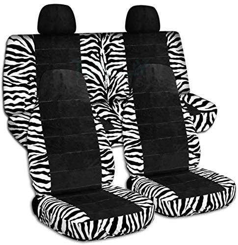 Zebra & Black