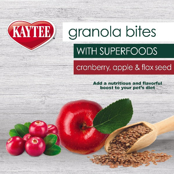 Kaytee Granola Bites with Superfoods - Cranberry, Apple & Flax Seed Healthy Treat for Small Animals | Perfect for Hamsters, Guinea Pigs & Rabbits as Snack or Training Reward