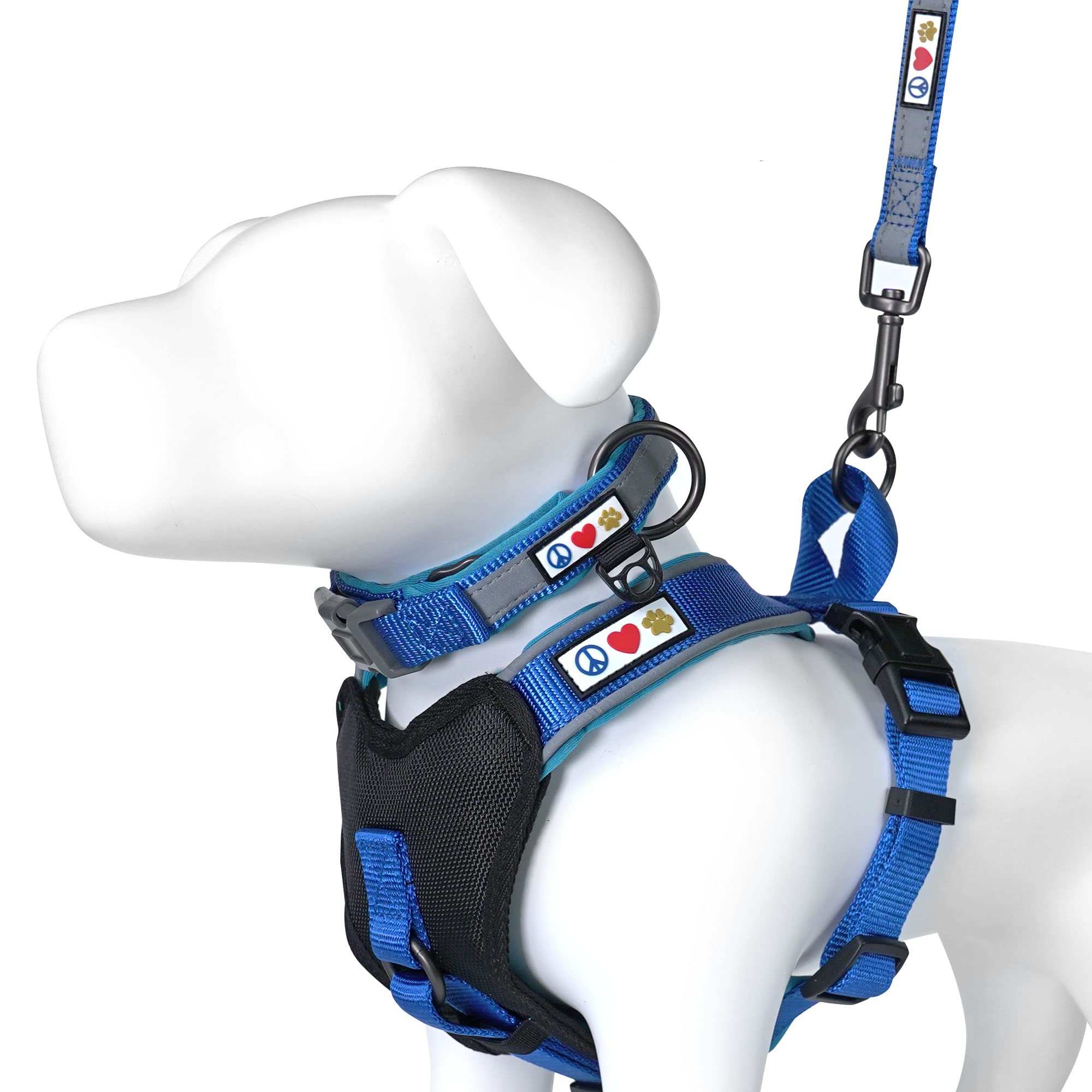 Premium Small Dog Harness & Collar Set with Padded Leash - Comfortable Blue Value Bundle for Small Breeds | Perfect for Walking, Training & Outdoor Adventures