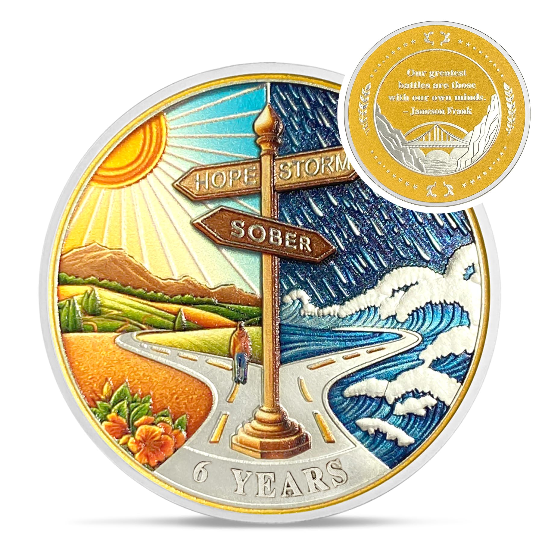 6 Year Sobriety Coin - AA Medallion for Addiction Recovery | Hope Signpost Reborn from Storm | NA AA Chips 1-10 Years | Celebrate Sobriety Gift for Men & Women in Alcoholics/Narcotics Anonymous - Perfect for Milestone Anniversaries & Support Group Meetings