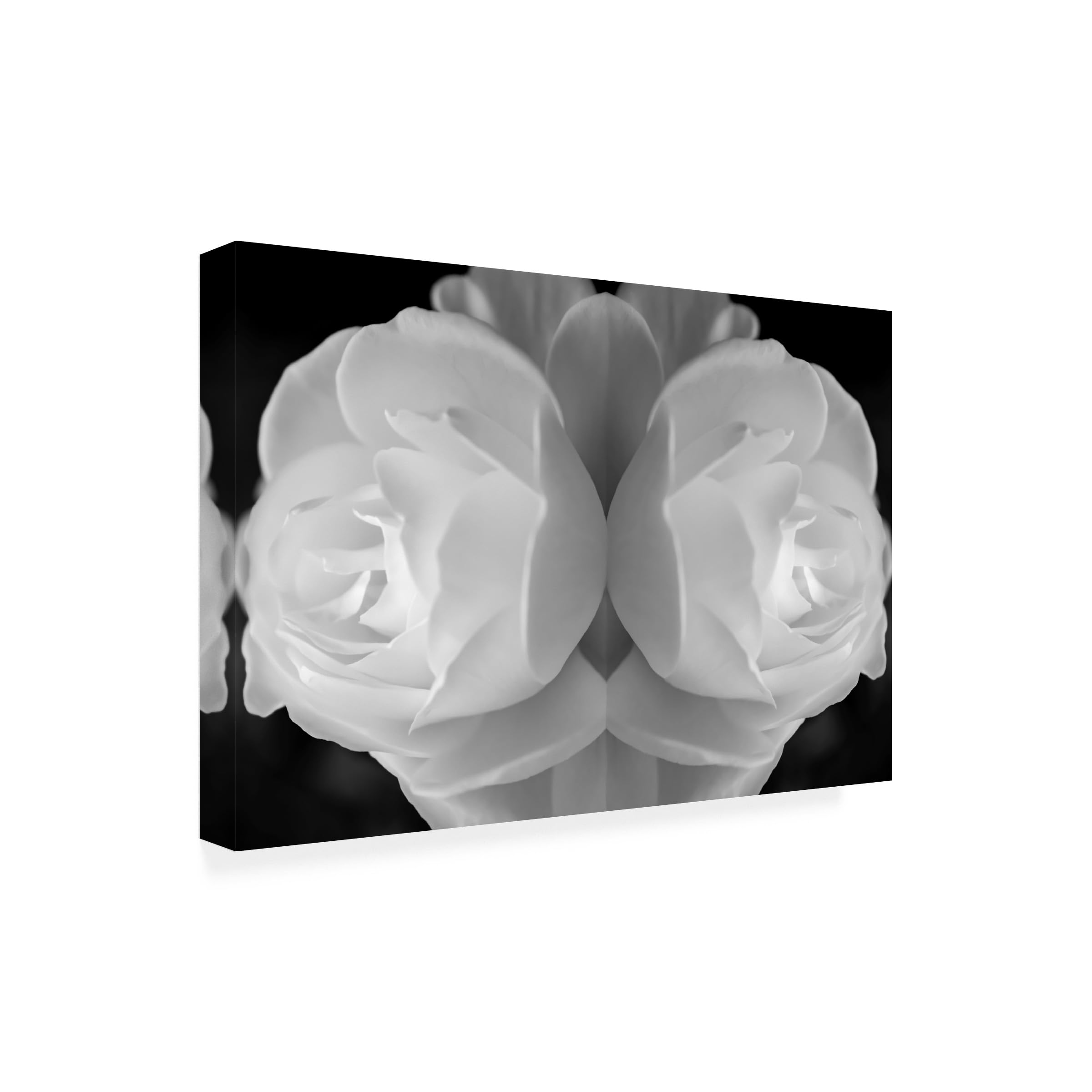 Anita Vincze 'Twin Rose 27' Floral Canvas Wall Art Print - Handmade Home Decor for Living Room, Bedroom & Office