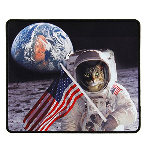 Cat Astronaut