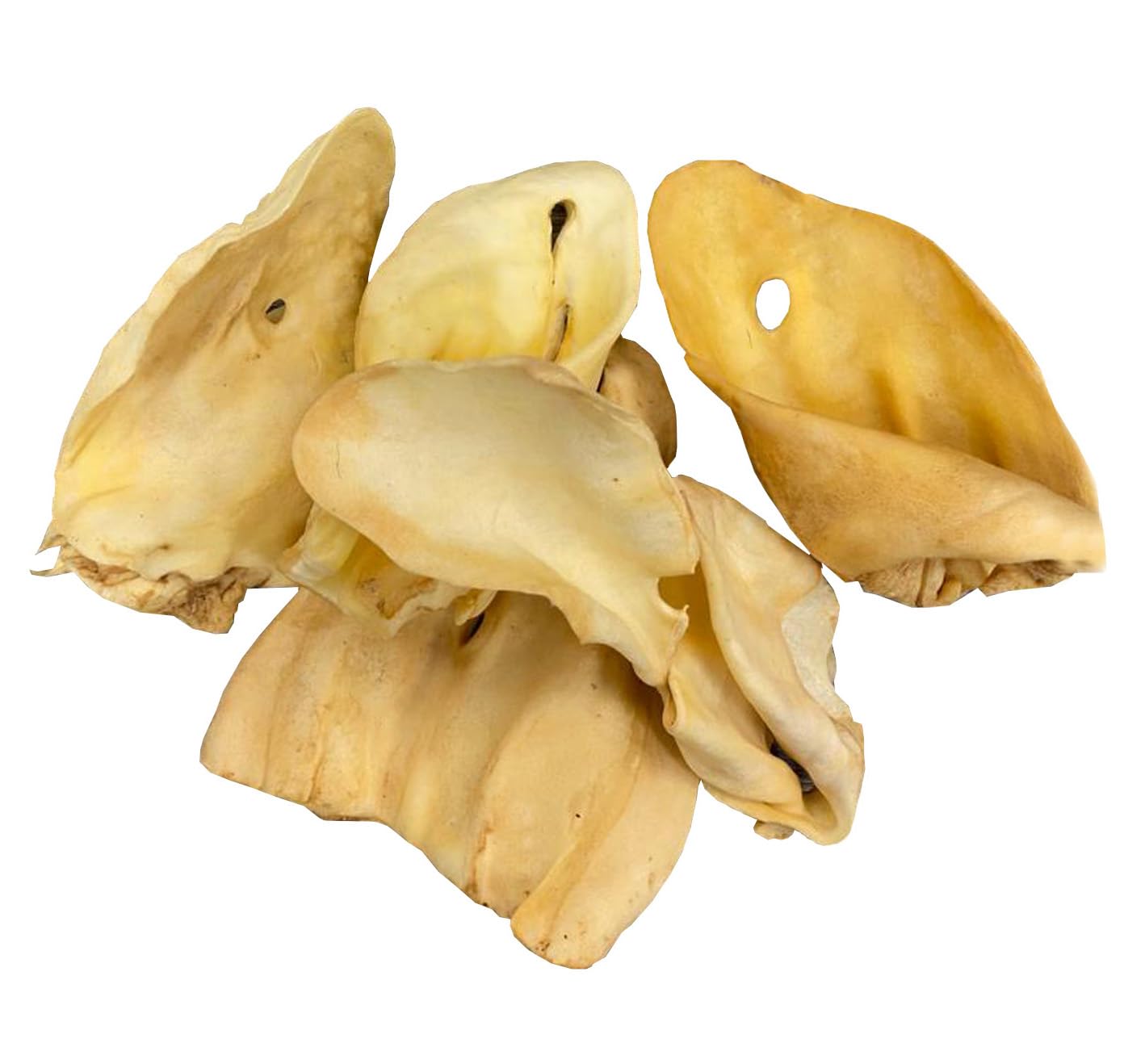 123 Treats Premium Cow Ears for Dogs - 100% Natural, Grain-Free Beef Chews (1 Pound Bulk Pack, Golden Color) | No Additives or Preservatives | Perfect for Training, Dental Health & Long-Lasting Chewing Satisfaction