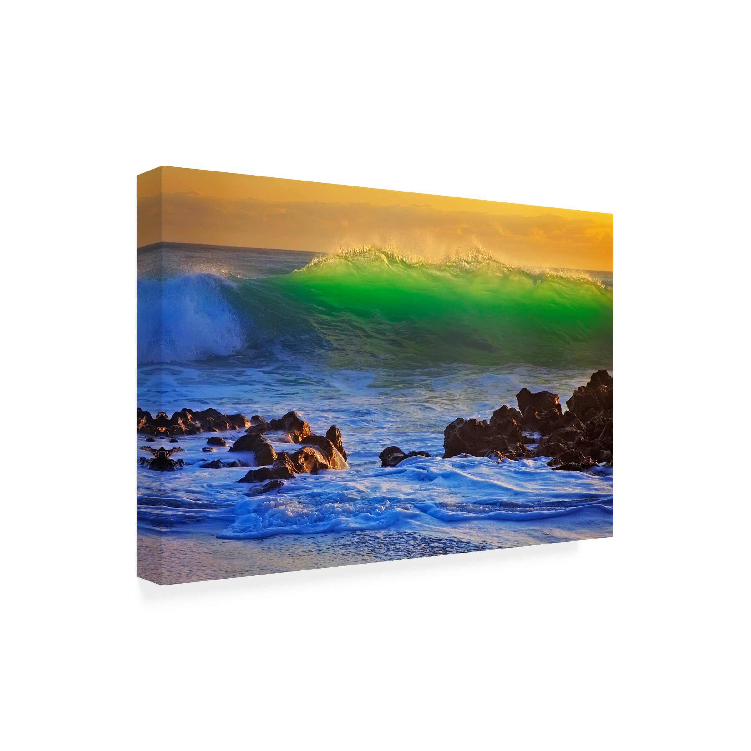 Patrick Zephyr 'Backlit' Canvas Wall Art Print - Modern Home Decor for Living Room, Bedroom & Office - Trademark Fine Art Collection