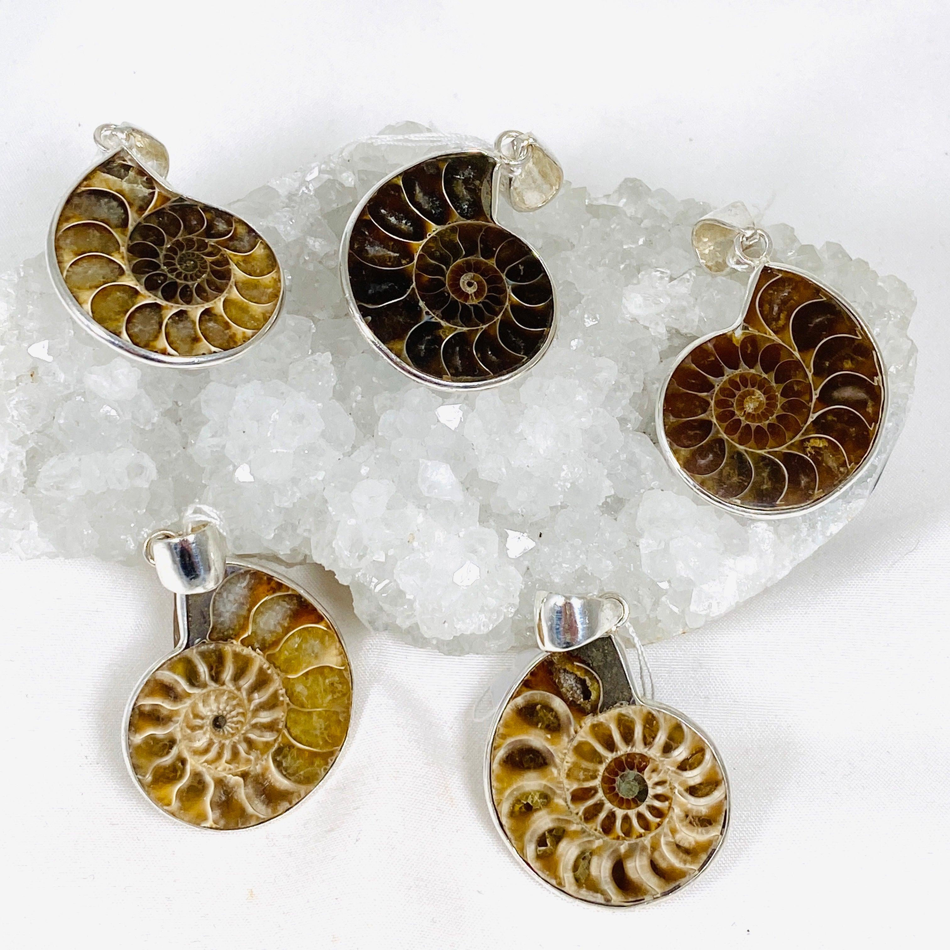 Natural Ammonite Shell Pendant Necklace - Unique Fossil Jewelry for Women & Men - Perfect for Boho Style, Spiritual Healing & Gift Giving