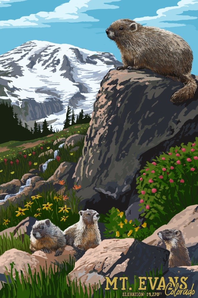 16x24 Gallery Quality Metal Wall Art - Mount Evans Colorado Landscape with Marmots, High Elevation Scenery - Perfect for Home, Office & Cabin Decor