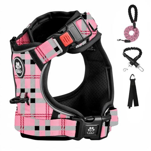 Pink & Black