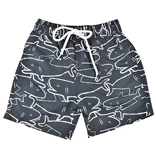 Shark