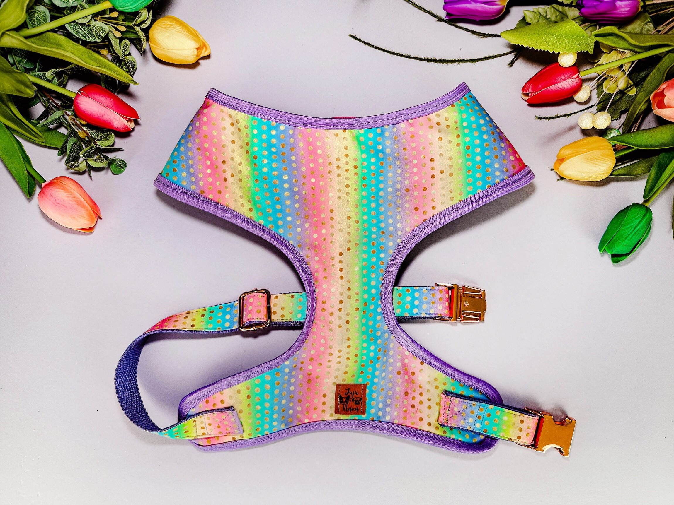 Rainbow Dots Dog Harness Set - Adjustable & Reflective Pet Vest for Small to Medium Dogs - Perfect for Walking, Running & Outdoor Adventures