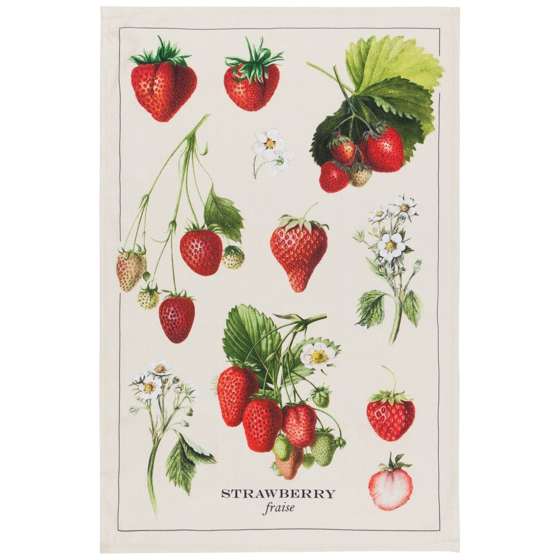 Vintage Strawberries Cotton Kitchen Dish Towel - Absorbent & Durable for Drying Dishes, Cleaning Countertops & Farmhouse Decor - Now Designs