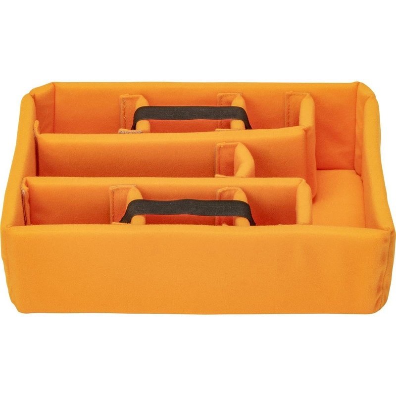 Pelican Vault V200 Waterproof Hard Case with Padded Dividers - Durable Protective Storage for Cameras, Electronics & Equipment - Ideal for Travel, Outdoor Adventures & Professional Use