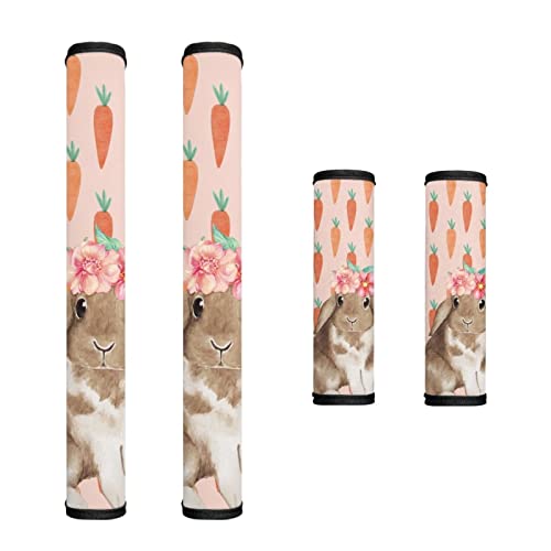 Carrots Rabbit