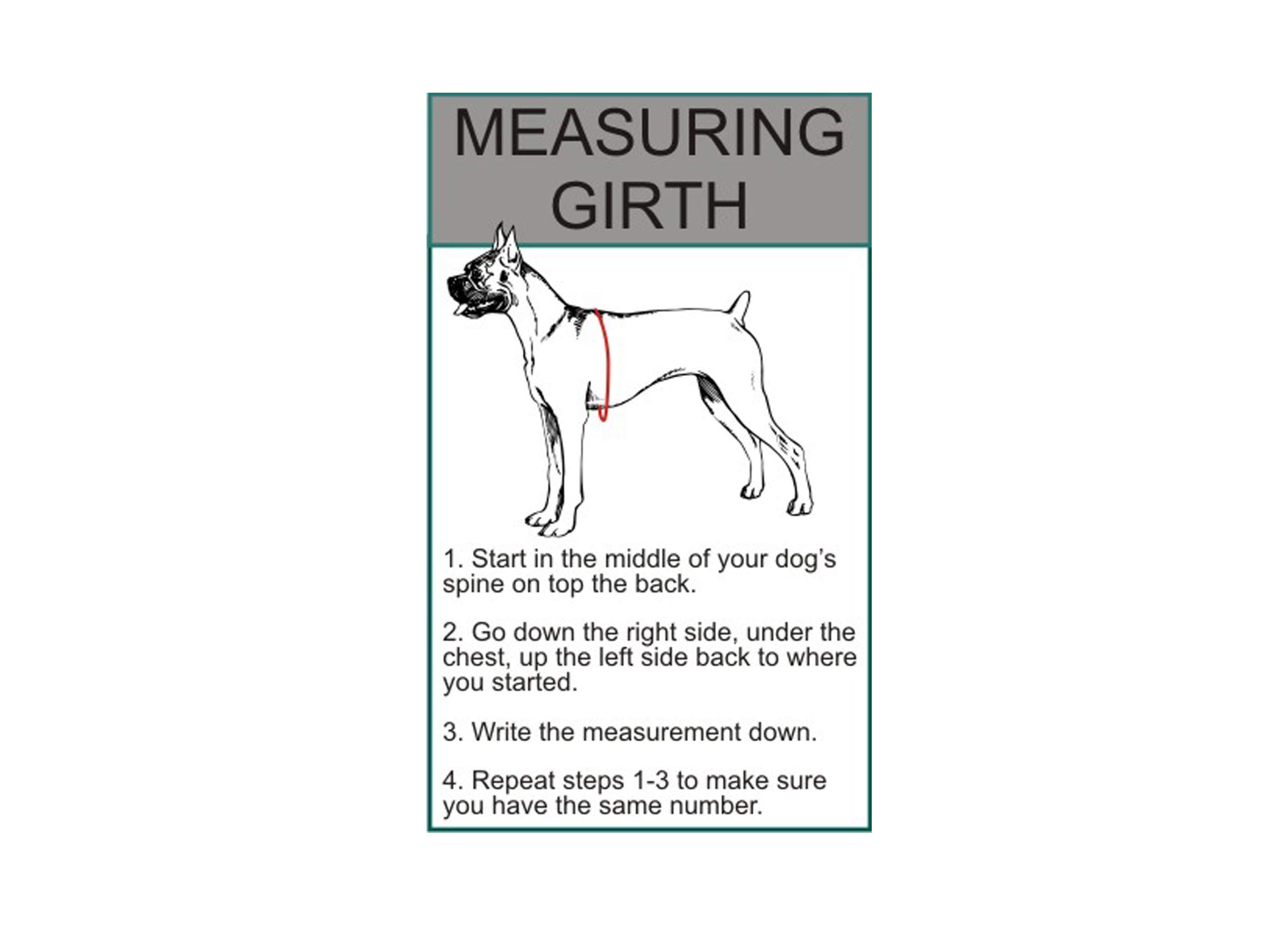 DO NOT PET Service Dog Mesh Vest Harness - Breathable Nylon Dog Vest for Small, Medium & Large Dogs - Includes 2 Reflective Removable Patches (Measure Your Dog Before Ordering) - Perfect for Therapy Dogs, Emotional Support Animals & Public Outings