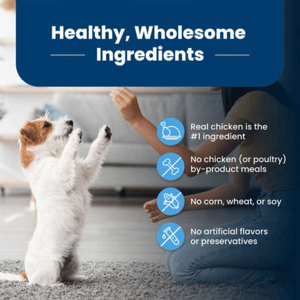 BLUE Life Protection Formula Chicken & Brown Rice Recipe Dry Puppy Food - High Protein Puppy Kibble for Small & Large Breed Dogs - Perfect for Growing Puppies & Active Dogs