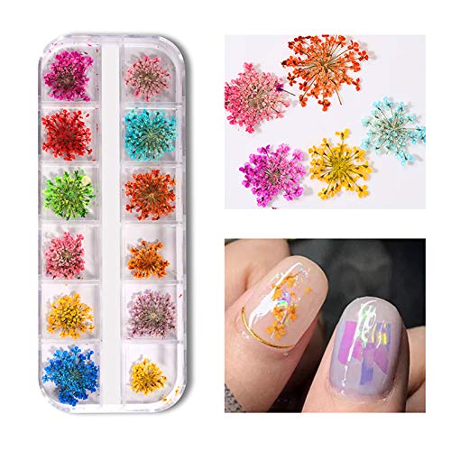 Premium Mixed Dried Flowers Nail Art Kit - Natural 3D Floral Stickers for UV Gel Polish Manicure | DIY Nail Decoration for Wedding, Party & Special Occasions