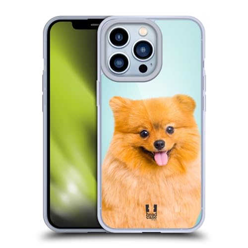 Pomeranian Dog