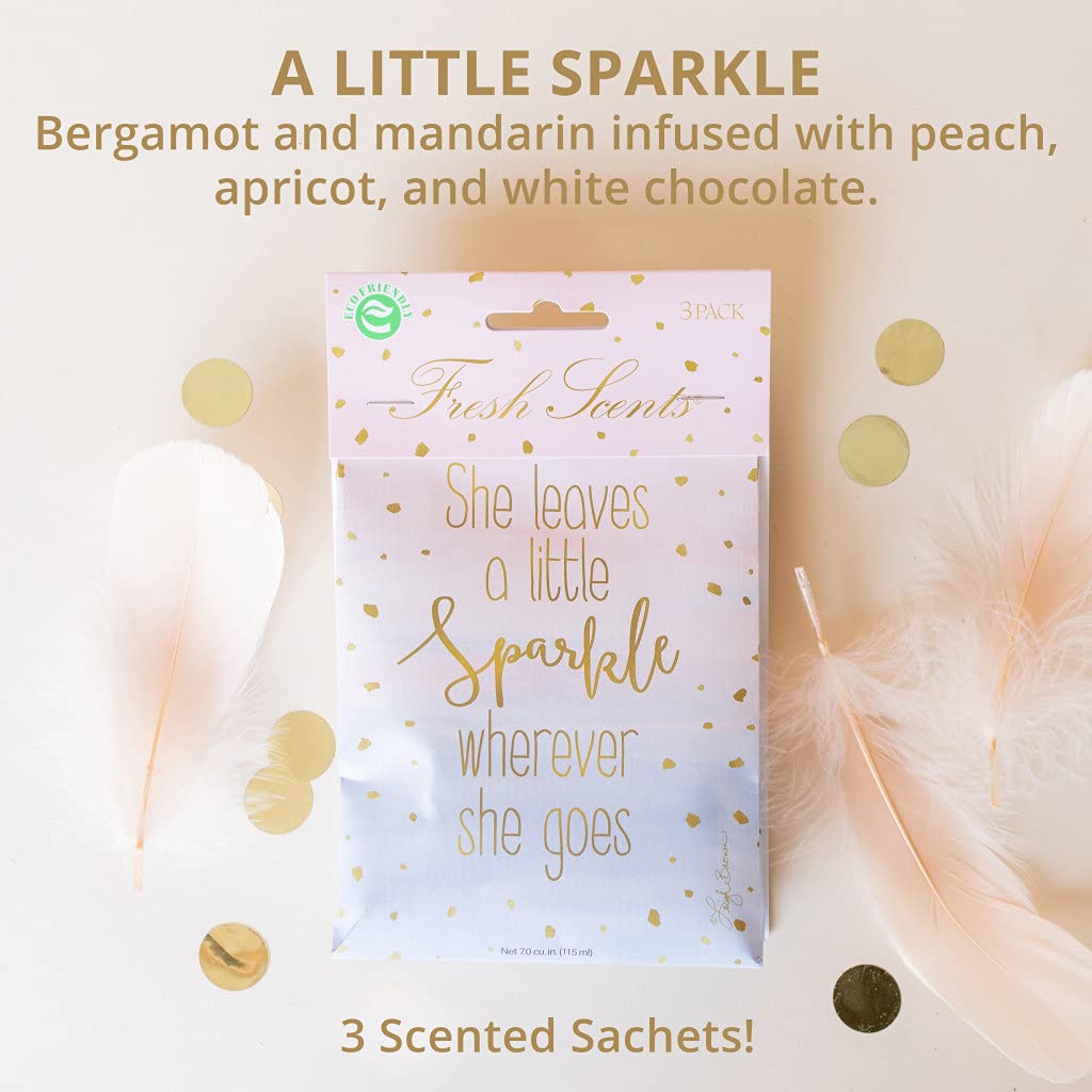 Willowbrook Fresh Scented Sachet Packets - 6 Pack Long Lasting Fragrance Bags for Drawers, Closets, Cars & Home | Aromatic Air Freshener for Wardrobes, Vehicles & Small Spaces | Perfect for Gifting & Everyday Use