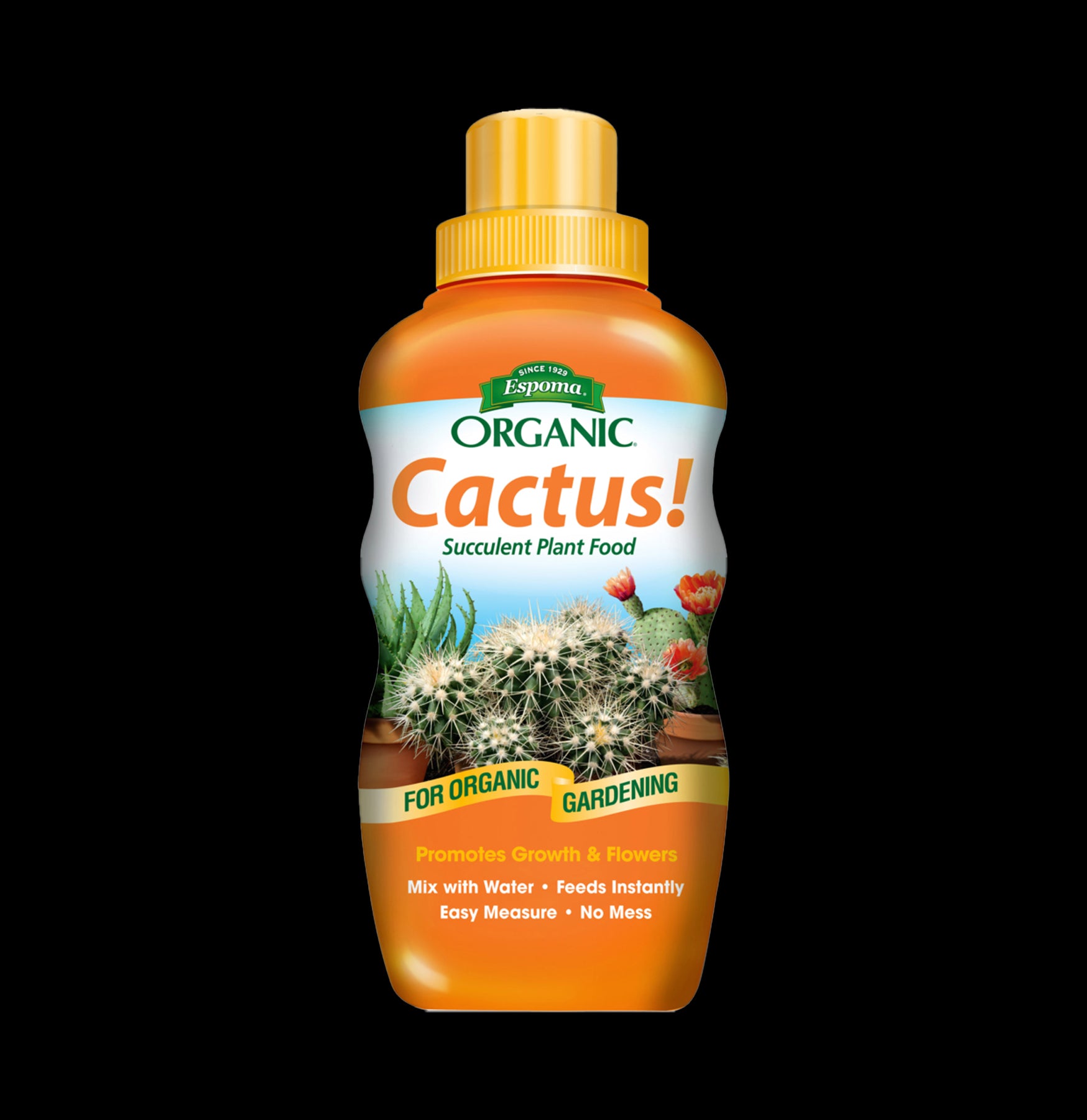 Organic Cactus & Succulent Plant Food by Espoma - 8oz Nutrient-Rich Fertilizer for Healthy Growth | Perfect for Indoor & Outdoor Potted Plants, Terrariums, and Desert Gardens