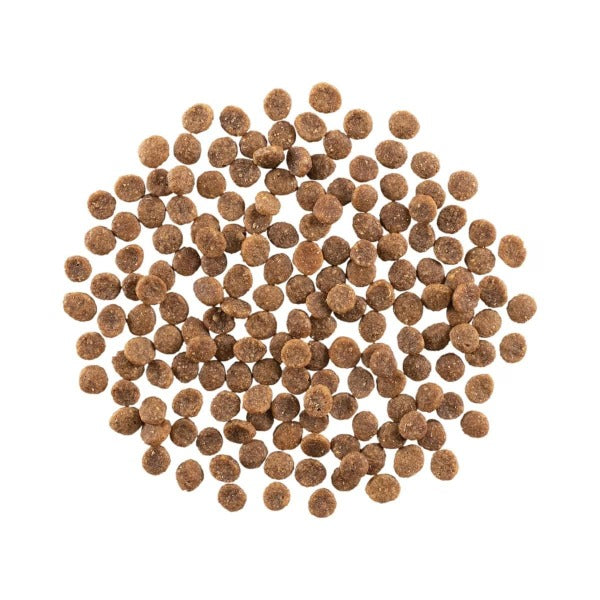Go! Solutions Hairball Control + Urinary Care Dry Cat Food - Chicken & Grains Recipe for Indoor Cats | Reduces Hairballs & Supports Urinary Health | Perfect for Multi-Cat Households
