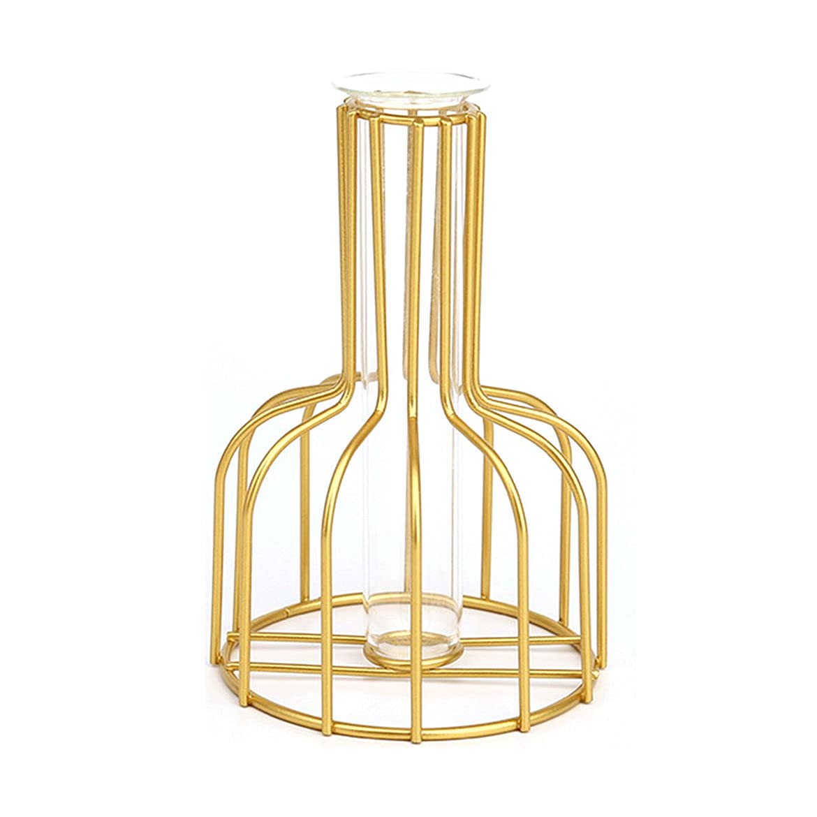Nordic Creative Glass Vase with Iron Line Design - Gold Hydroponic Plant Holder for Flowers, Home Decor, Garden Decoration | Perfect for Living Room, Dining Table, Office Desk & Wedding Centerpieces