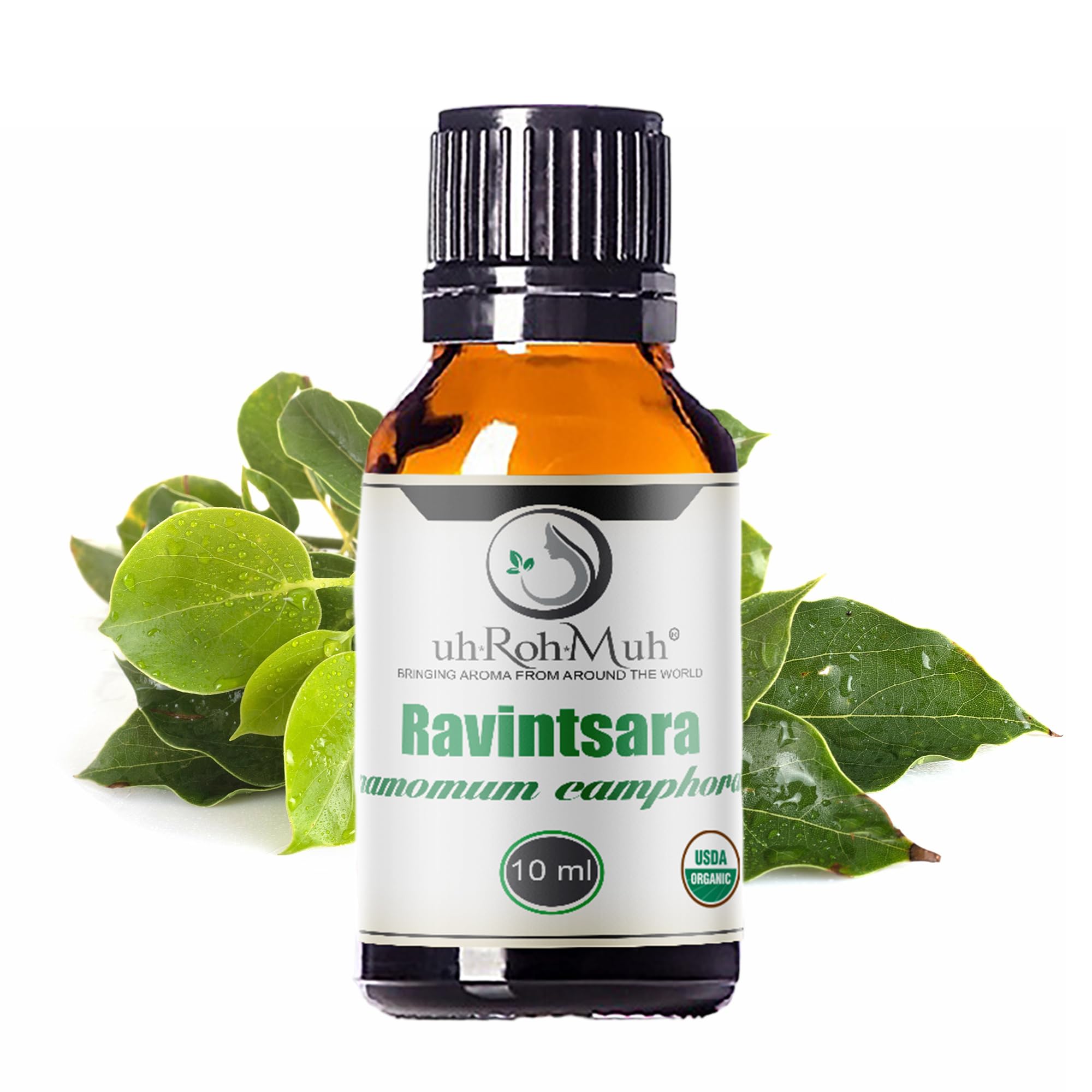 100% Pure Organic Ravintsara Essential Oil - USDA Certified, 10ml | Cinnamomum Camphora Oil from Madagascar | for Aromatherapy, Diffusers & Home Relaxation | Stress Relief & Immune Support