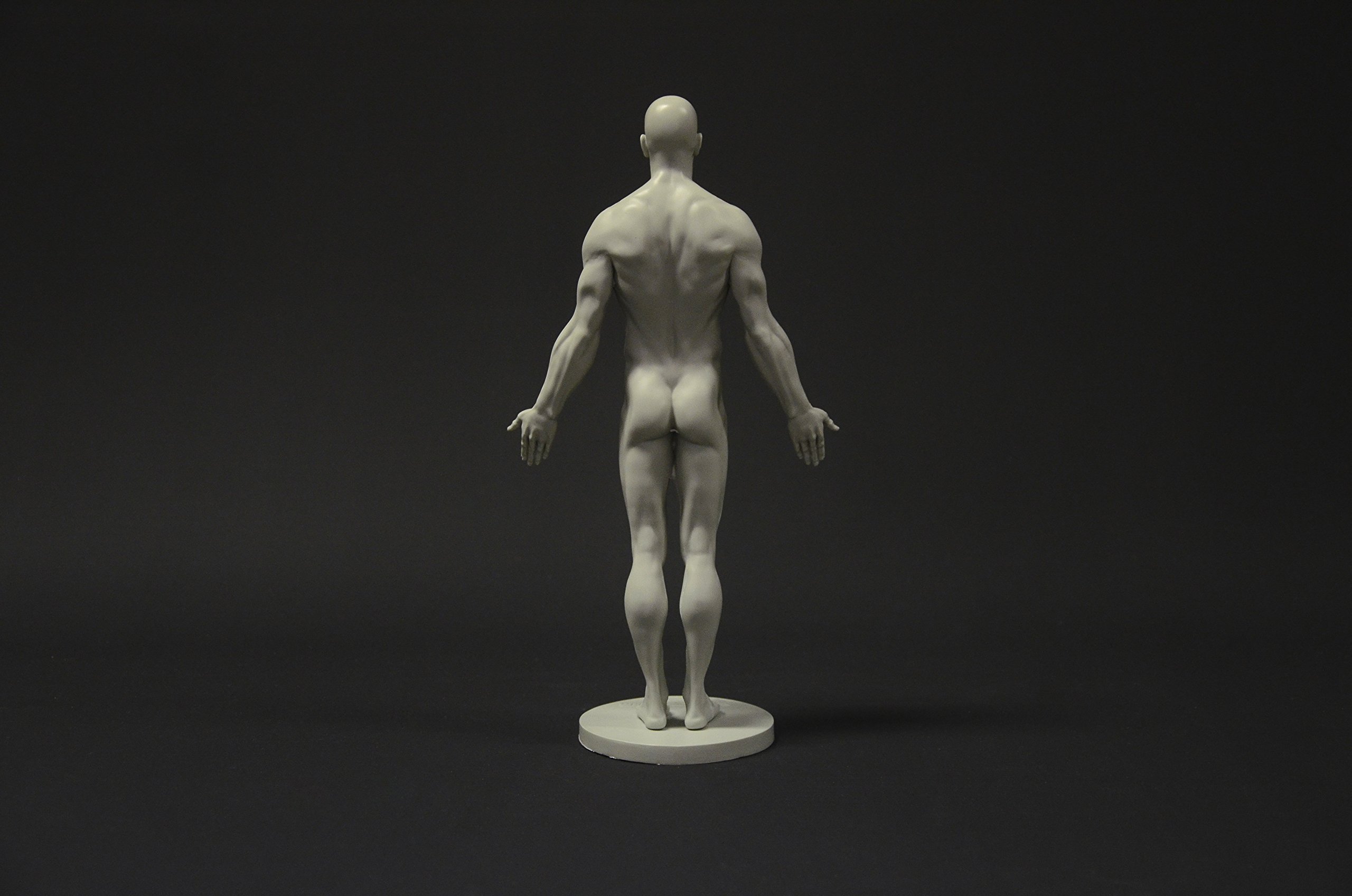 Male Anatomy Figure Collection: Planar, Ecorche & Skin Models - Professional Artist Reference for Human Anatomy Drawing | Perfect for Medical Students, Art Classes & 3D Sculpting