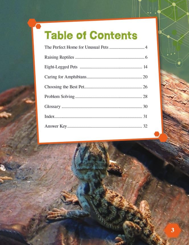 Amazing Animals: Terrarium Pets - Real World Math Learning for Kids | STEM Education & Home Schooling Activities