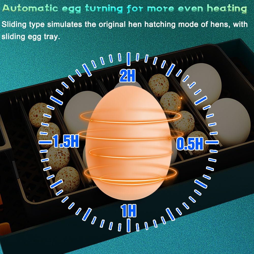Automatic Egg Incubator with Clear View Window - Digital Temperature Control & Auto Turner for 12-15 Chicken Eggs - LED Egg Candler for Hatching Success - Perfect for Home Poultry Farming & Classroom Science Projects