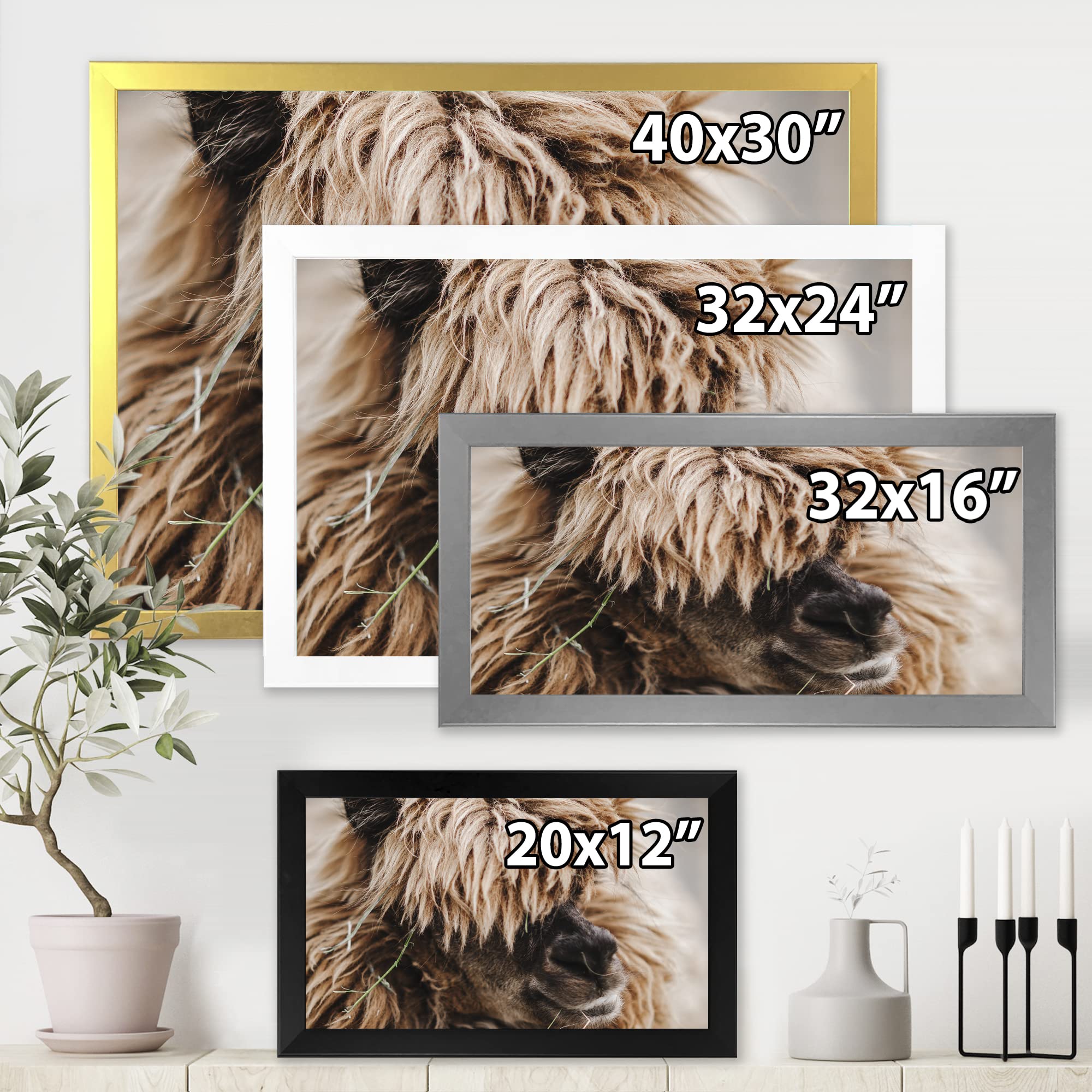 Fluffy Curly Alpaca Portrait - Farmhouse Style Framed Wall Art Decor for Living Room, Bedroom & Nursery