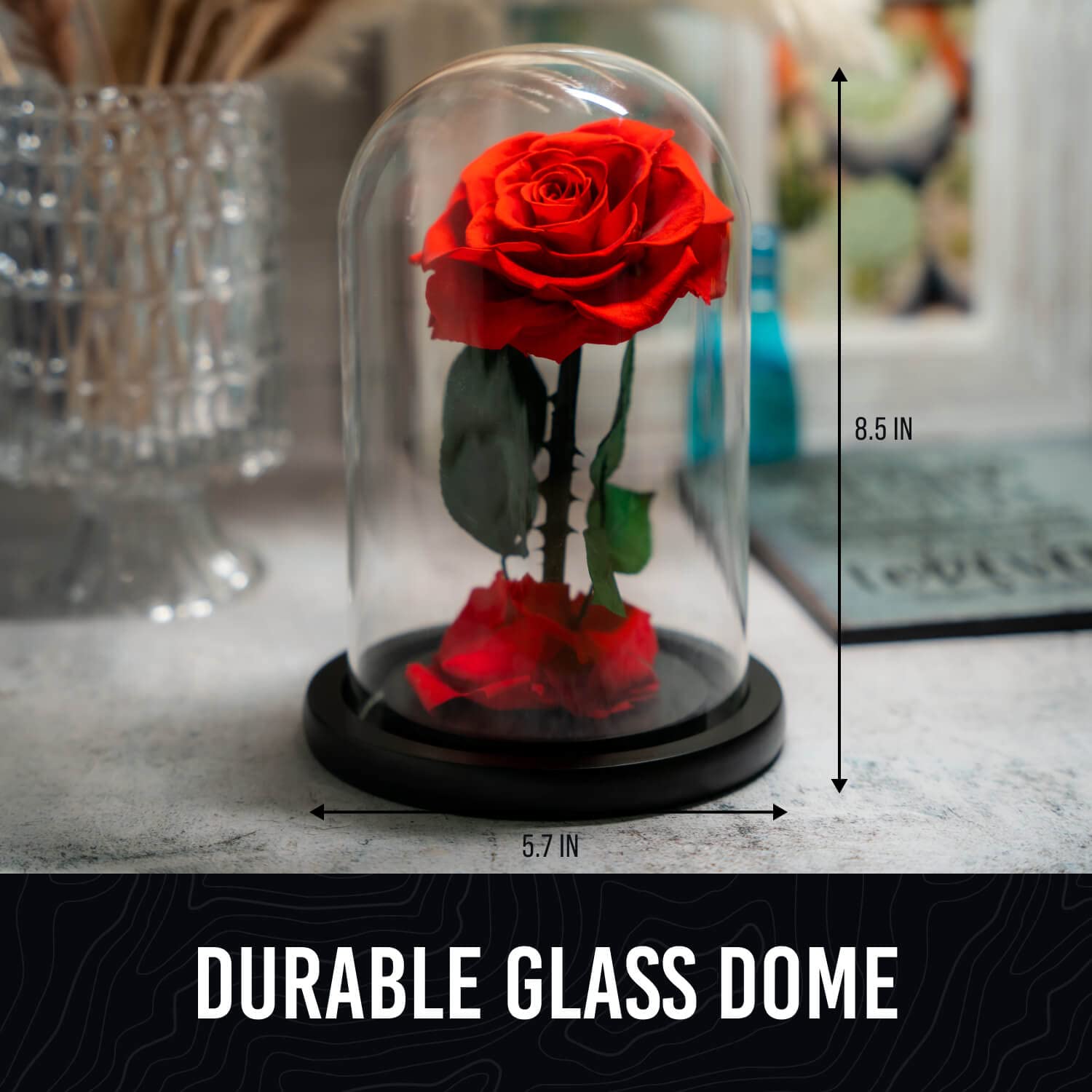 Norcalway Premium Glass Dome Rose Gift for Mom from Daughter, Son & Kids - 6 Hour Timer - Beauty and The Beast Inspired Home Decor - Perfect for Mother's Day, Birthday & Anniversary Gifts - Elegant Centerpiece for Living Room, Bedroom & Office Decor