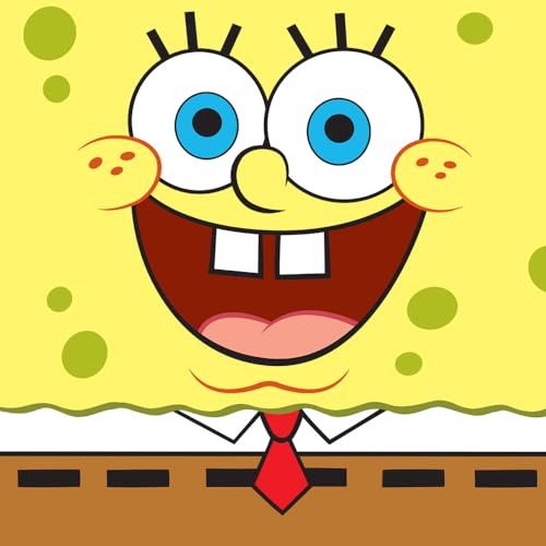 Sponge Face SB