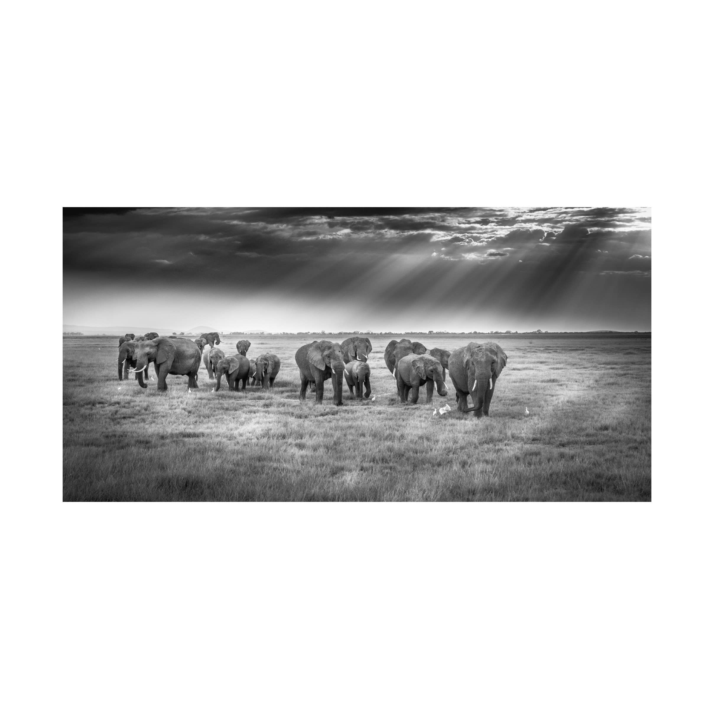 Jeffrey C Sink 'Breakfast With Pachyderms' Canvas Wall Art - Elephant Wildlife Painting - Perfect for Living Room, Bedroom & Office Decor