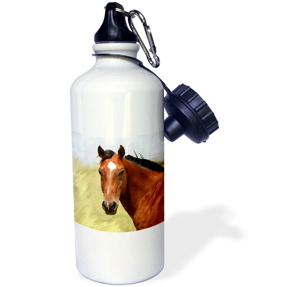 3D Printed Bichon Frise Collage Sports Water Bottle - 21 oz Insulated Stainless Steel, White - Perfect for Gym, Hiking & Outdoor Activities