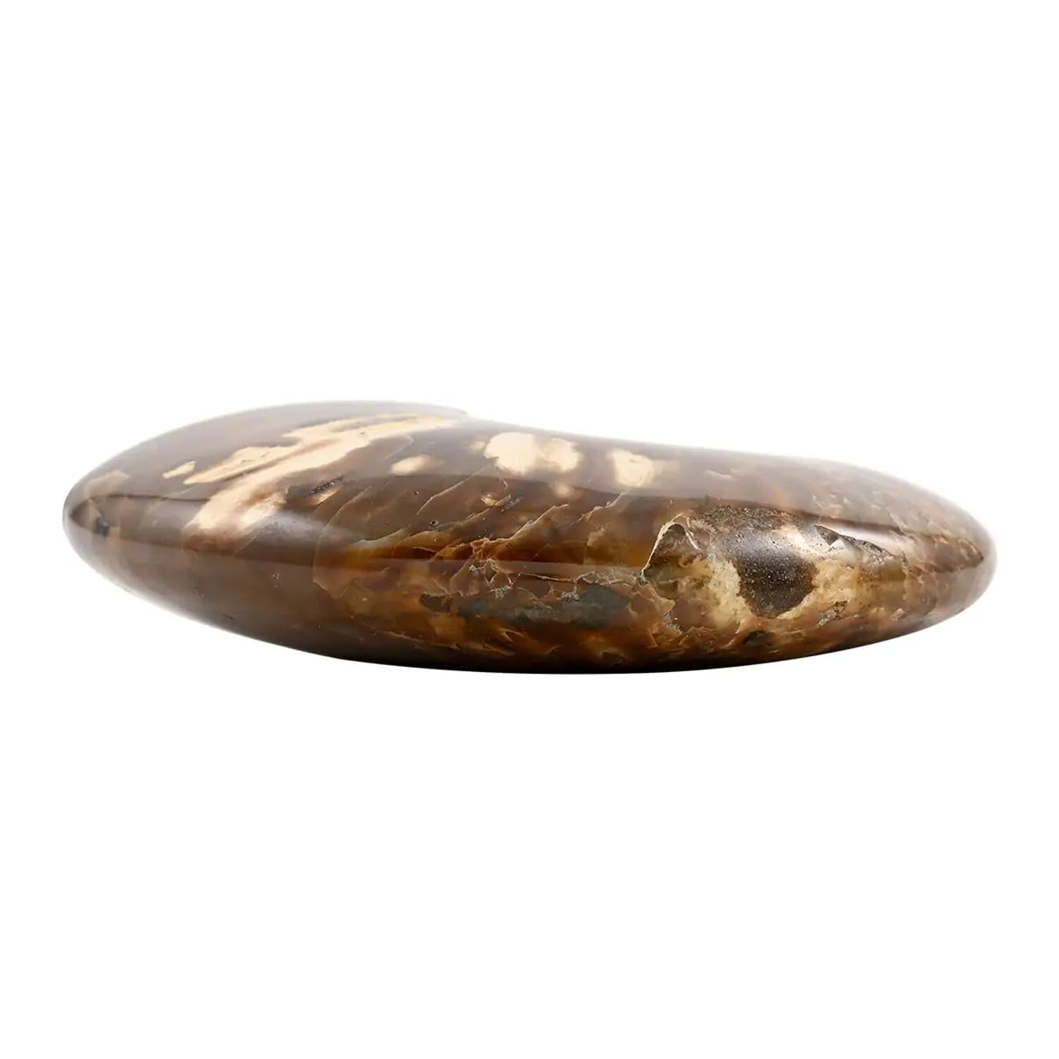 Red Ammonite Figurine - Small Home Decor for Indoor & Outdoor | Unique Birthday Gift Idea | Perfect for Living Room, Garden & Office Desk Decor