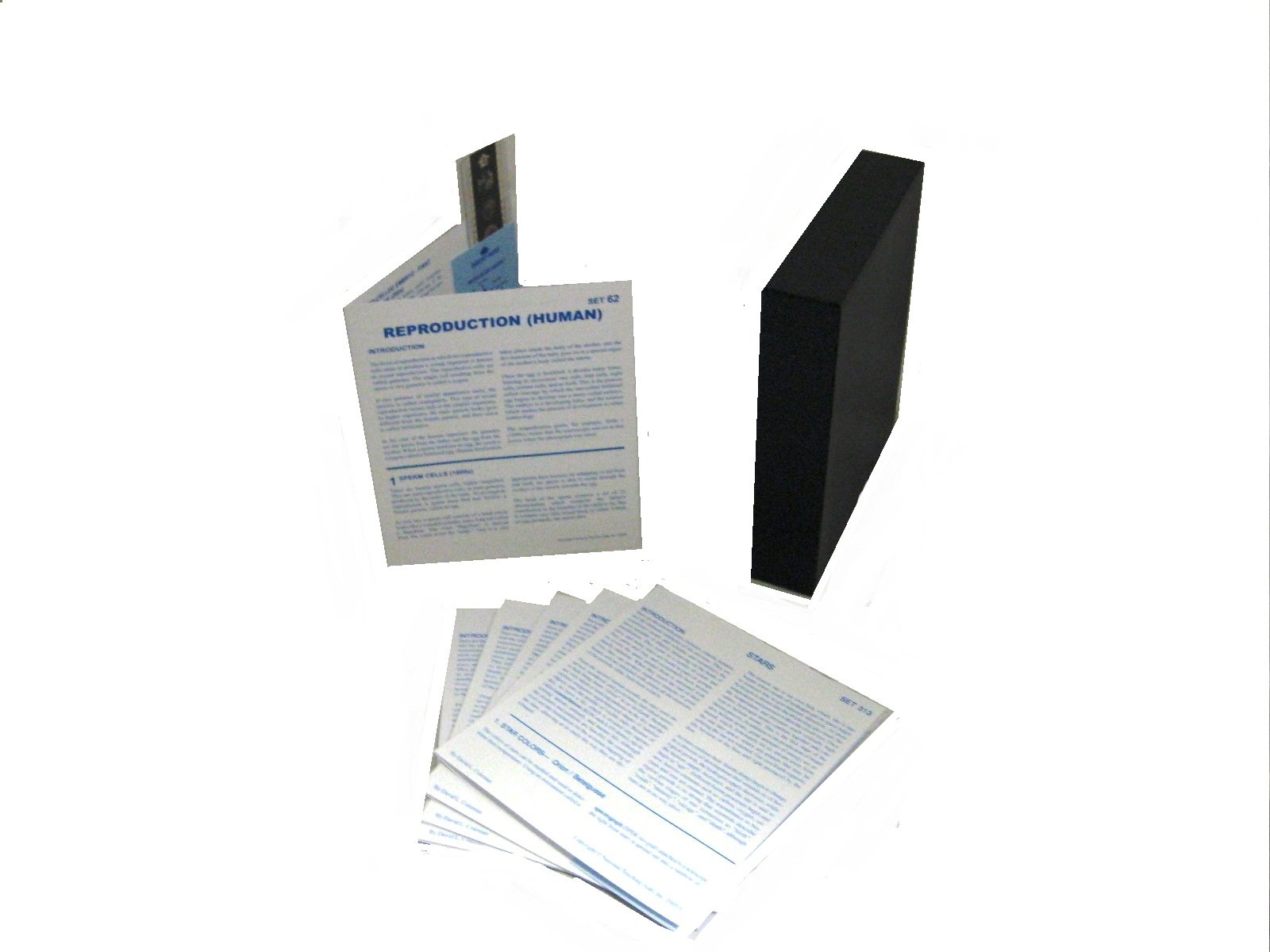 American Educational Microslide Human Reproduction Lesson Set - 15 Slides for Biology & Anatomy Classrooms | Perfect for Science Teachers & Students