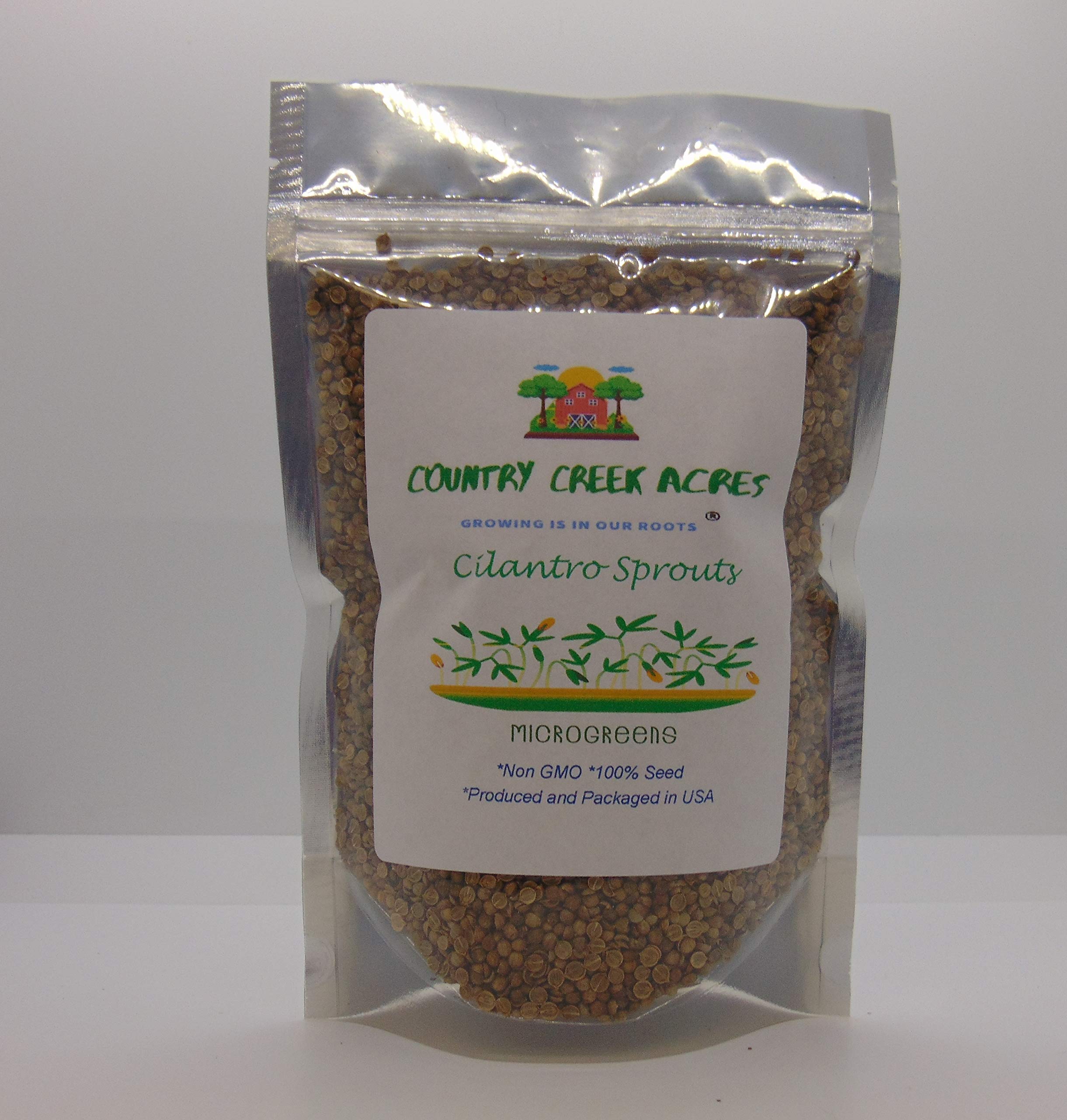 Non-GMO Cilantro Seeds for Sprouting & Microgreens - 4oz - Gardening, Juicing, Hydroponics