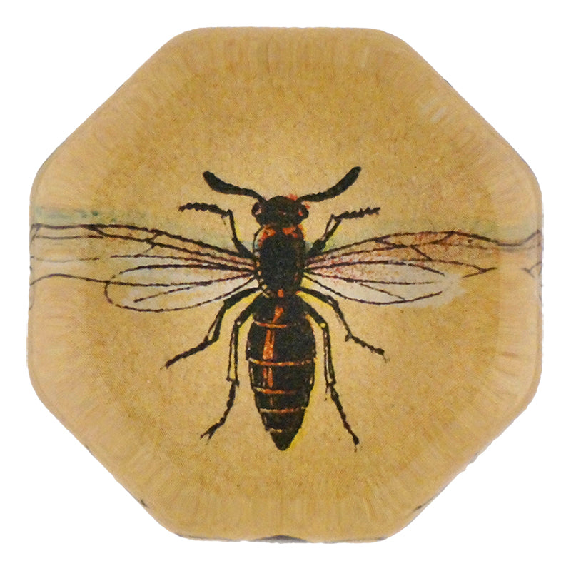 OCP 140 Insects High-Resolution JPG Images - Download for Entomology Studies, Nature Projects & Digital Art Creation