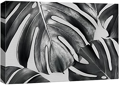 Bs02-leaves-fo01