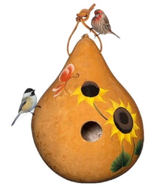 Amish Handmade & Hand Painted Sunflower Birdhouse - Natural Gourd Bird Feeder for Garden, Patio & Outdoor Decor | Perfect Summer Gift for Bird Lovers