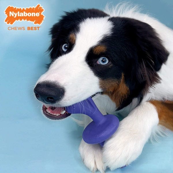 Nylabone Power Chew Rolling Dog Toy - Durable Chew Toy for Aggressive Chewers - Perfect for Large Dogs, Puppy Teething & Playtime