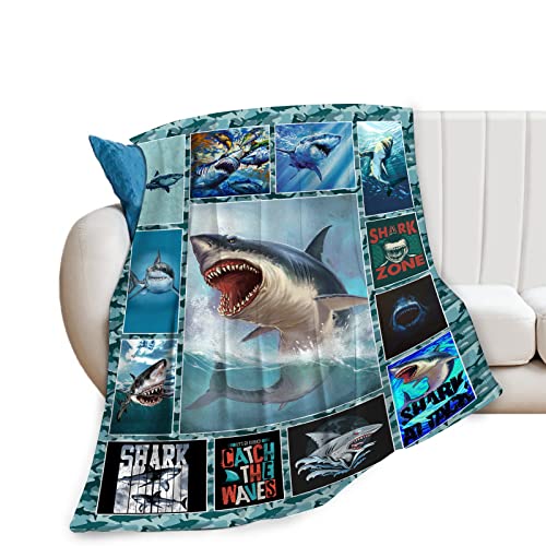 Sharks Zone