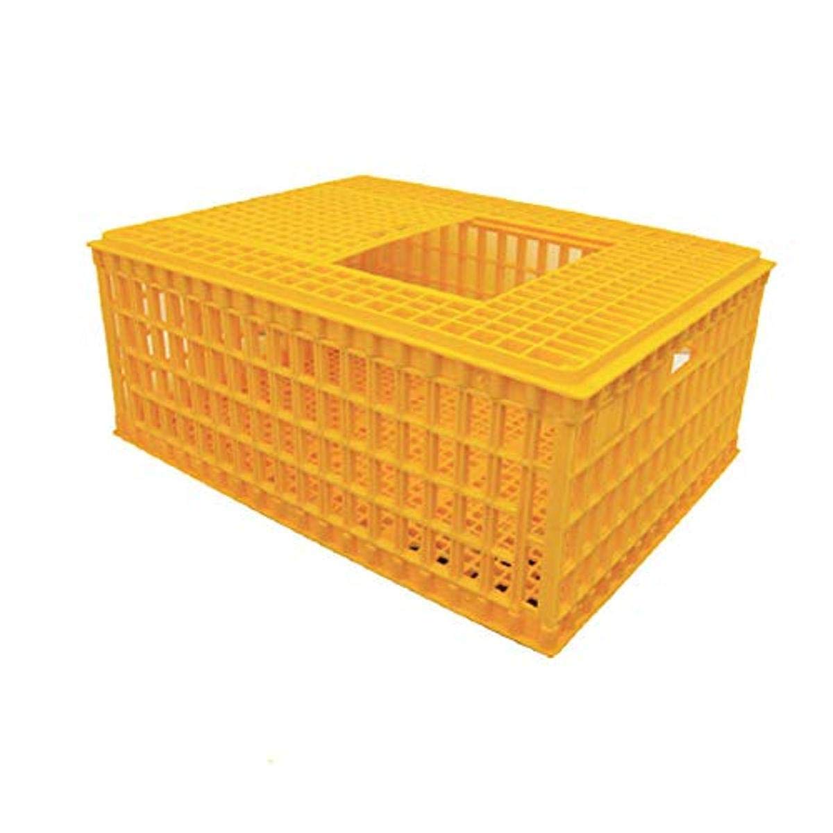 Economy Transport Coop 30.3