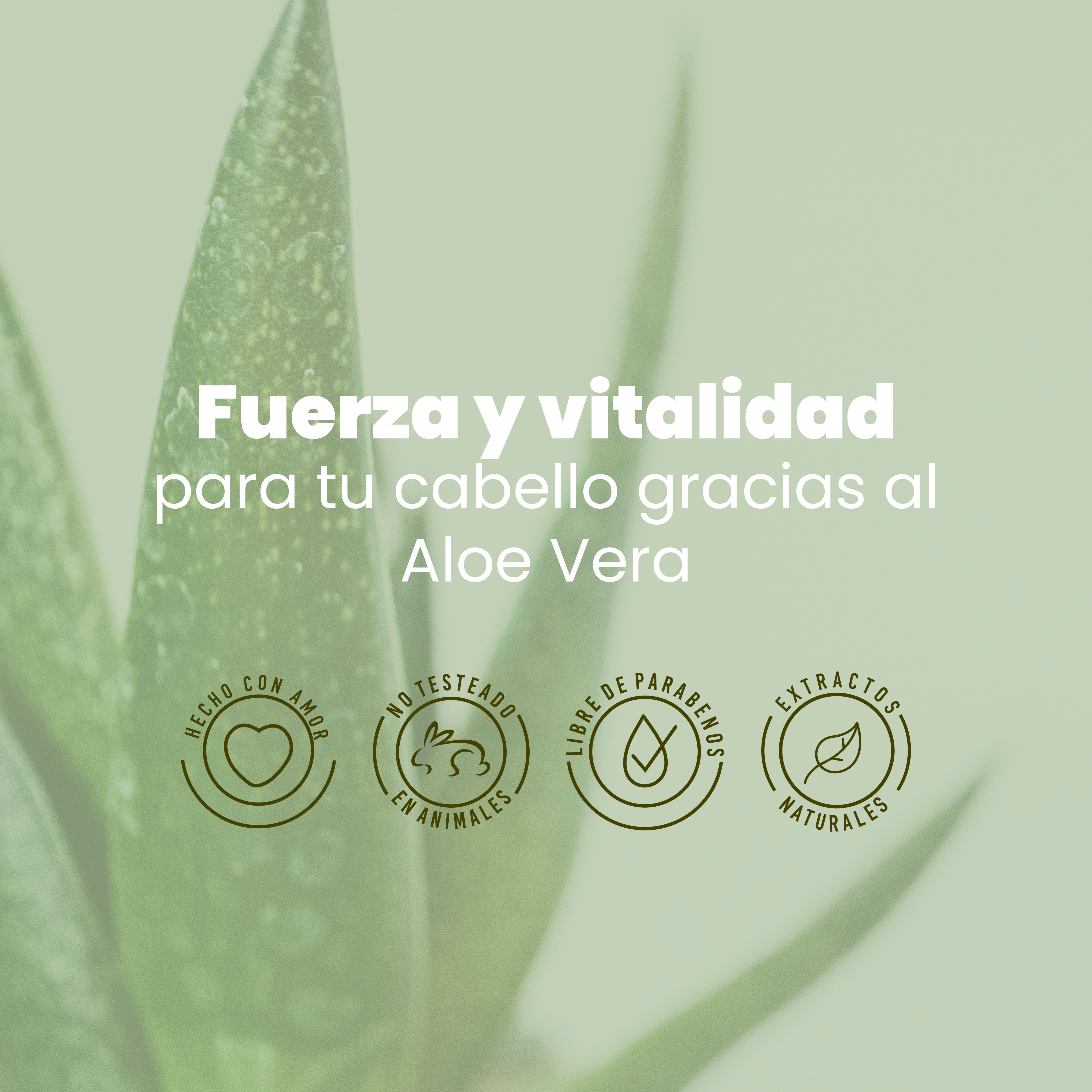 Aloe Vera Shampoo by ANYELUZ - Hydrating & Soothing Hair Care for Dry & Damaged Hair - Perfect for Daily Use & Scalp Relief