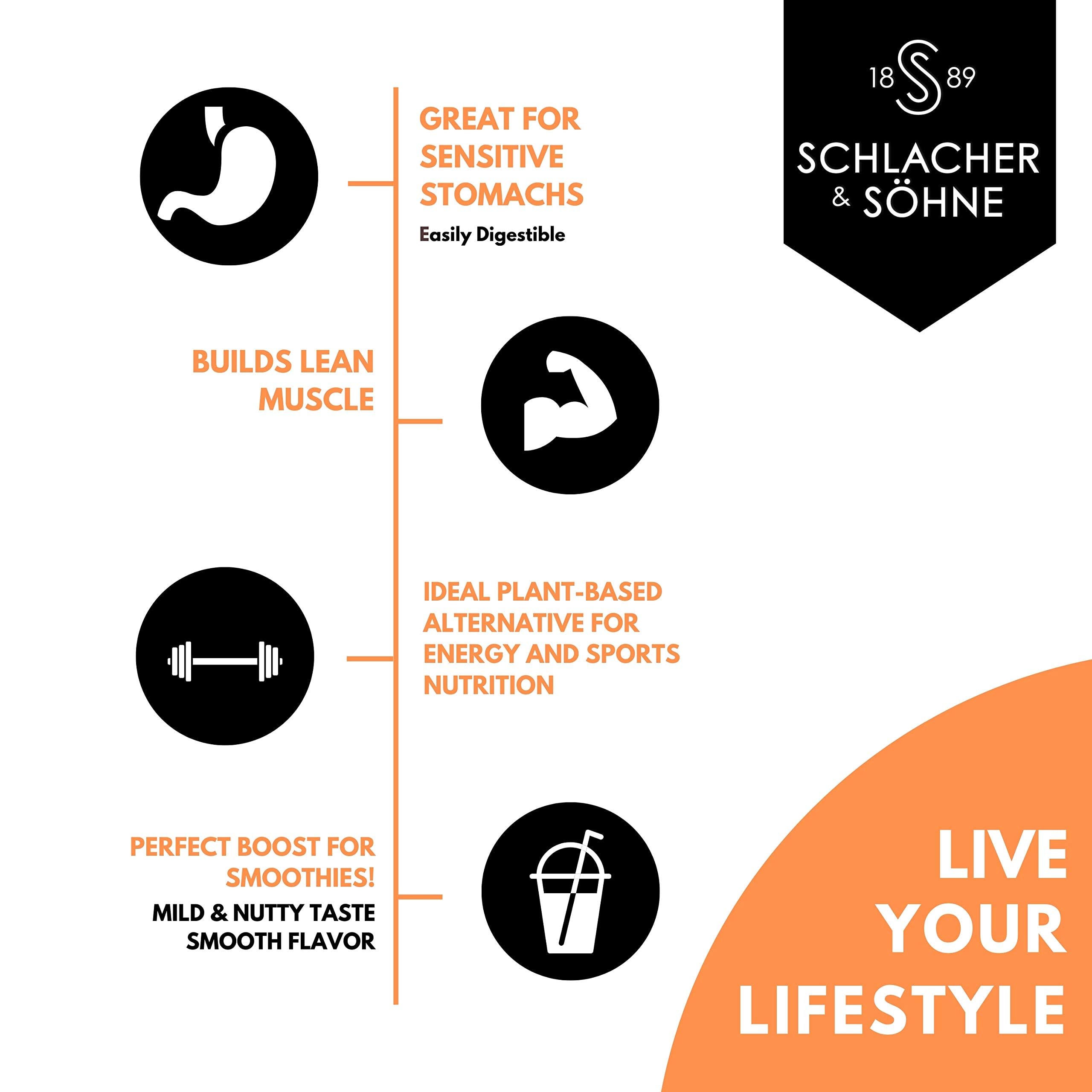 Schlacher & Söhne Organic Pumpkin Seed Protein Powder 17.6oz | 100% Pure Plant-Based Vegan Protein | Non-GMO, Gluten-Free, No Additives | Supports Immune System & Digestion | Made in Austria | Perfect for Smoothies, Baking & Post-Workout Recovery