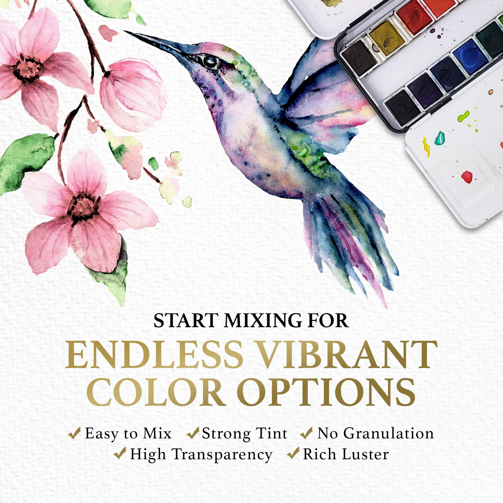 **SCHPIRERR FARBEN 12-Color Watercolor Paint Set with 5 Professional Size 20 Paint Brushes - Premium Watercolor Kit for Beginners & Artists - Perfect for Sketching, Painting & DIY Art Projects**