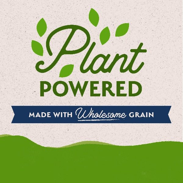 Natural Balance Plant-Powered Vegetarian Canned Dog Food - High-Protein Vegan Formula for Sensitive Stomachs & Allergies - Perfect for Eco-Conscious Pet Owners & Dogs with Dietary Restrictions