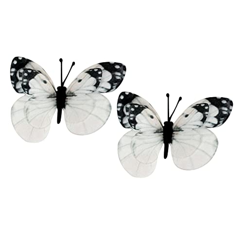 LEYSIN 2 Pack Colorful Butterfly Hair Clips for Women & Girls - Snap Hair Pins Hair Accessories for Teens, School, Party & Everyday Use (Style M4)
